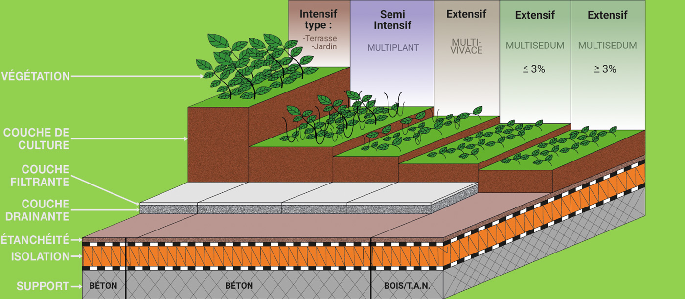 Schéma de la méthode de végétalisation d'un toit