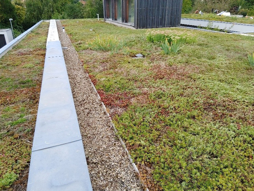 Exemple de toit végétal après entretien