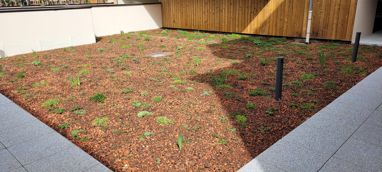 realisation-vegetoit-2026-1