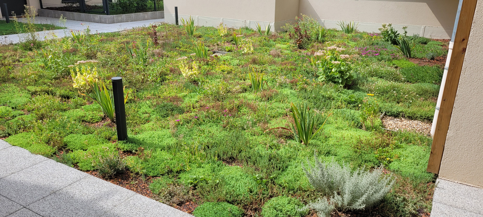 realisation-vegetoit-2026-2