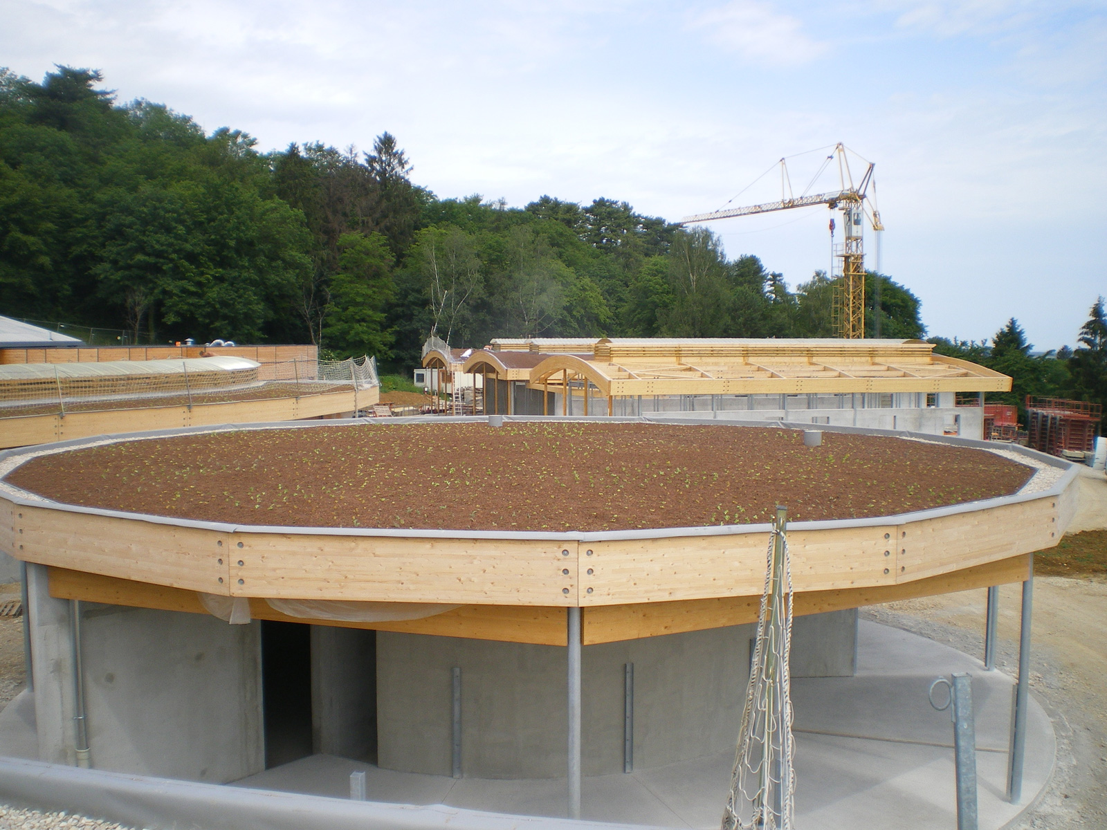 realisation-vegetoit-2026-3