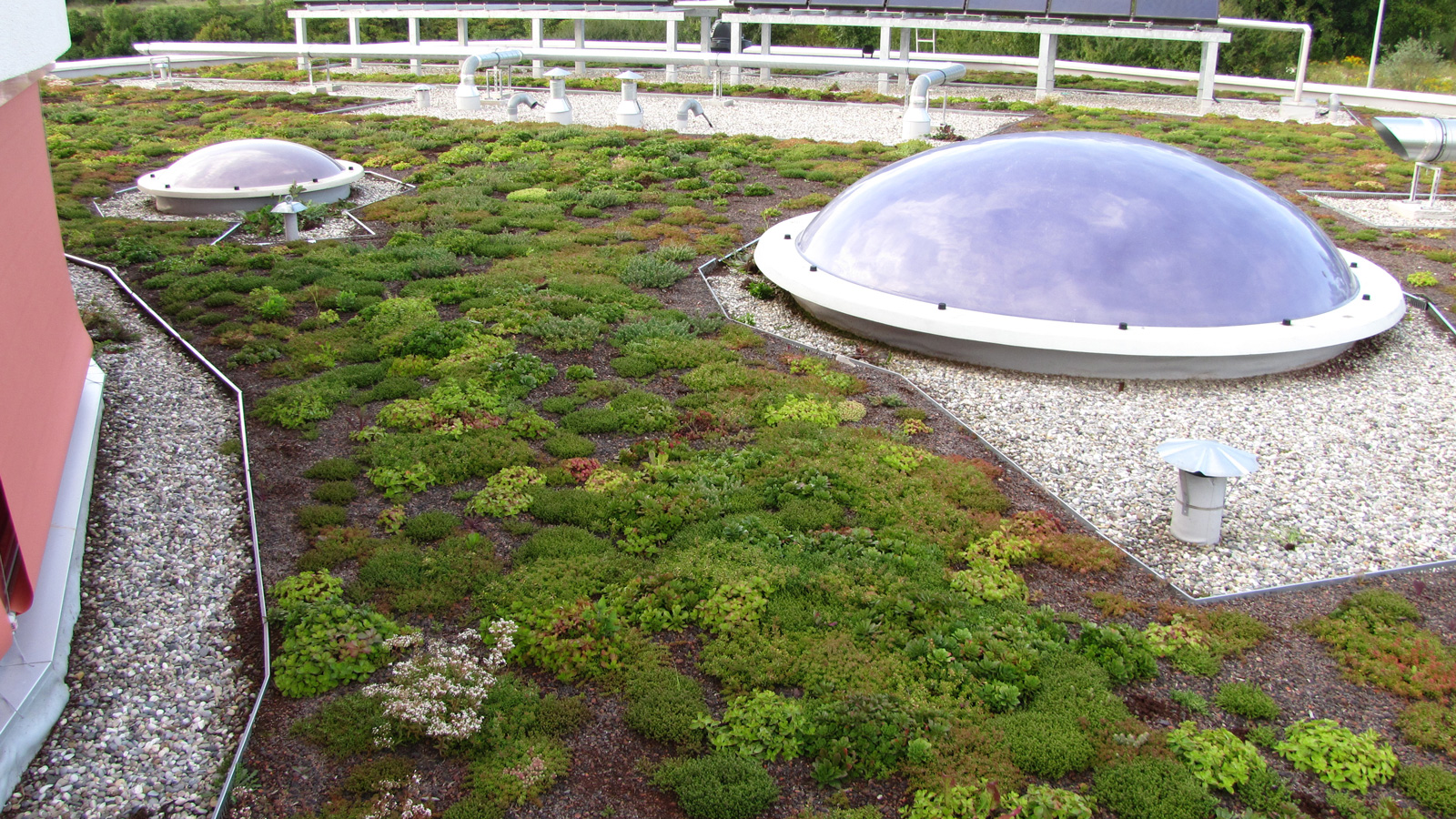 realisation-vegetoit-2026-5